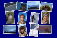 Photos